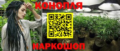 амф Новокубанск