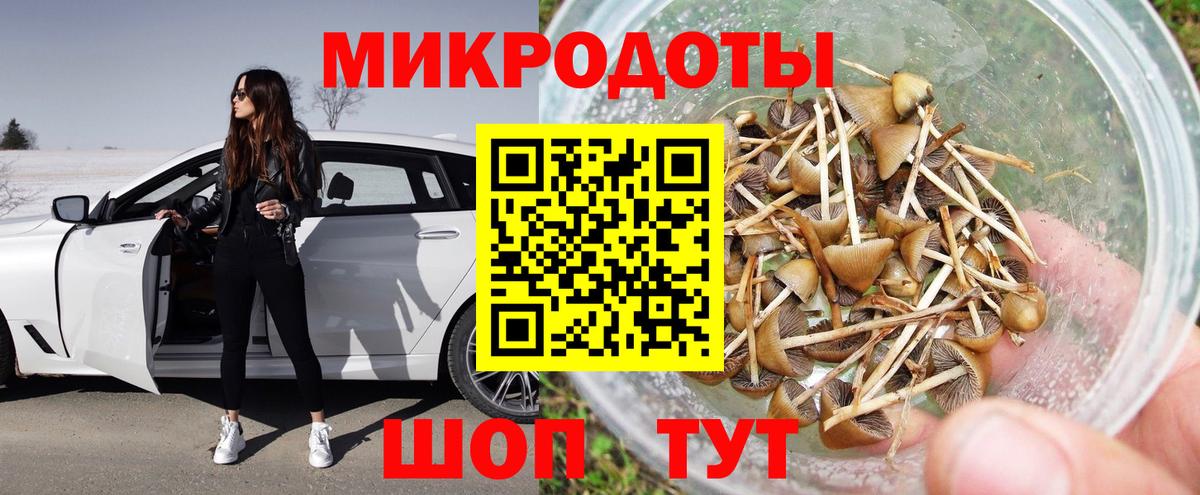Псилоцибиновые грибы мухоморы Спасск-Дальний